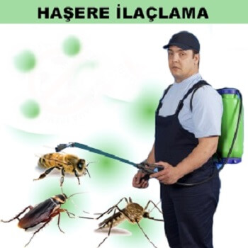 Serdivan Böcek İlaçlama